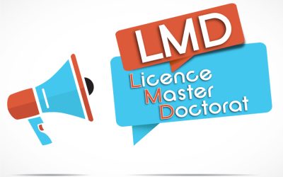 Comprendre le système LMD : de la licence au doctorat, un parcours structuré